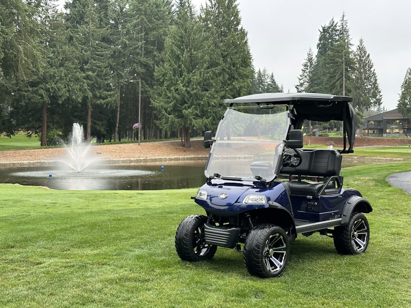 Golf cart with a clear enclosure by a pond