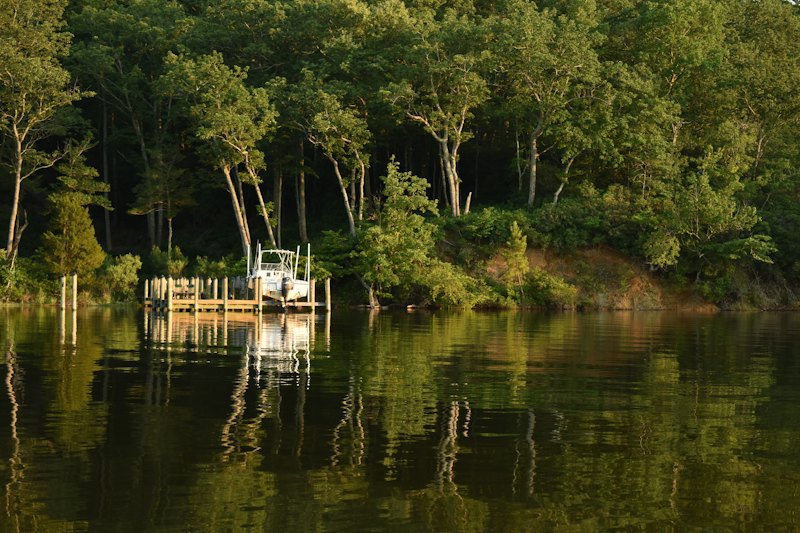 Boat dock on a wooded river